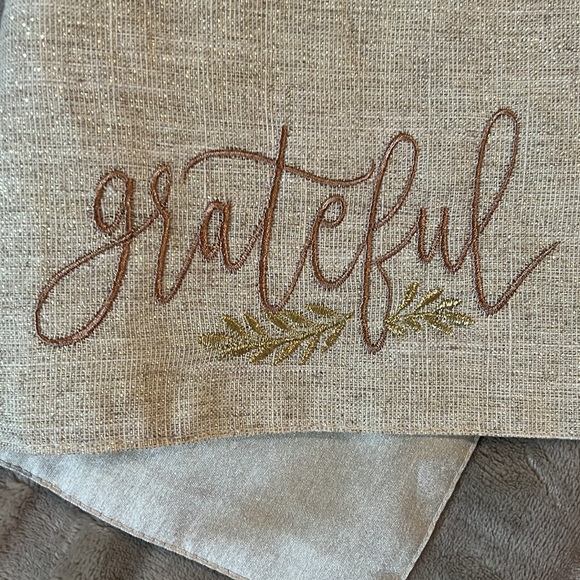 NOT FOR SALE Set 7 placemats beige w/ metallic gold threading, copper lettering - Picture 5 of 6